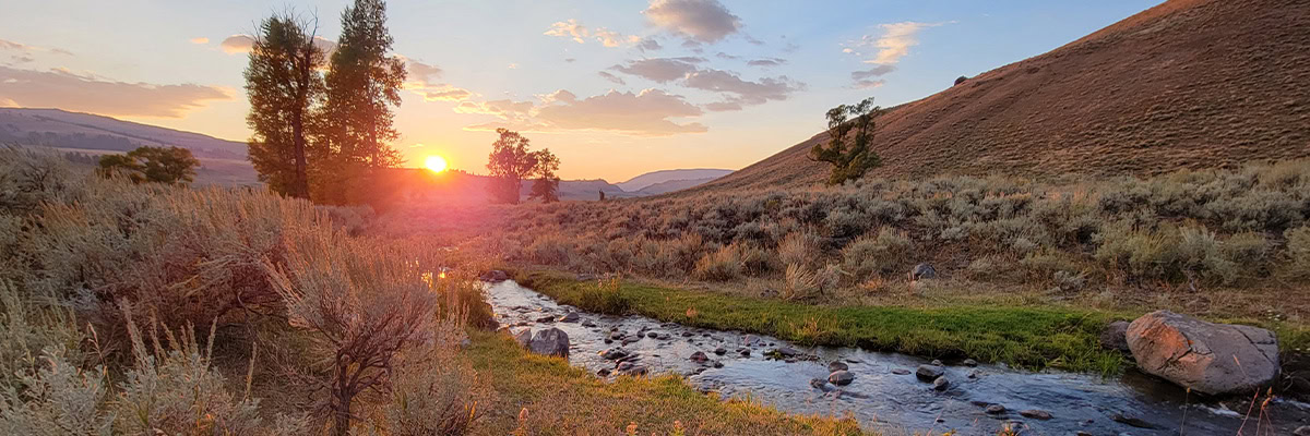 A Yellowstone day drawing to a spectacular close.